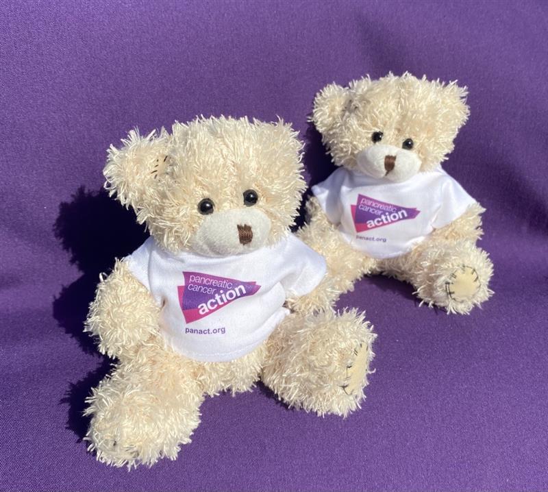 Aware Bear