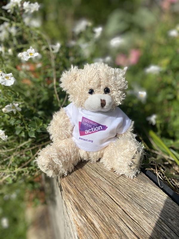 Aware Bear