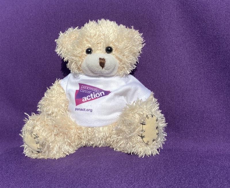Aware Bear