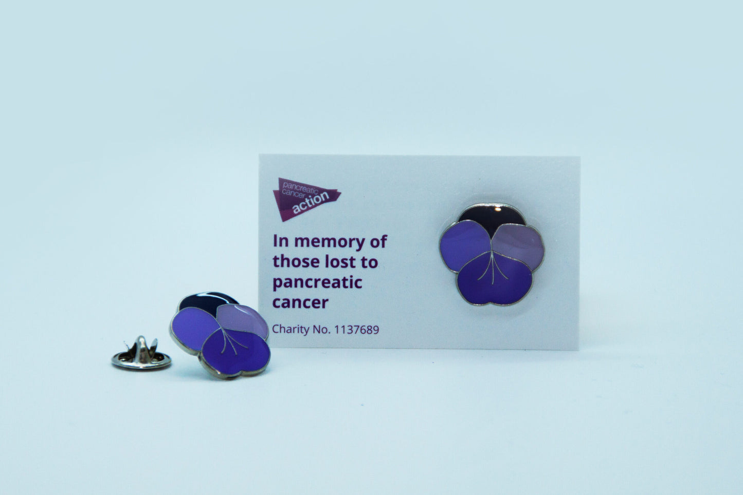 Pancreatic Cancer Action
